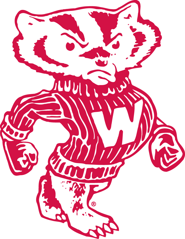 Wisconsin Badgers 1948-1969 Secondary Logo t shirts iron on transfers